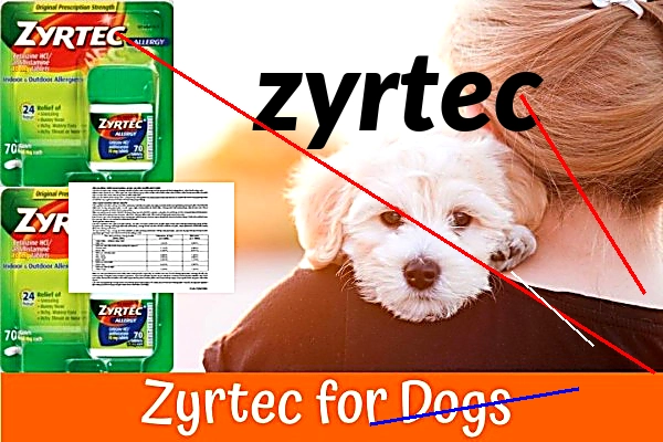 Zyrtec comprimé prix